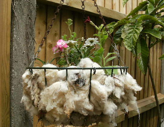 Hanging baskets are wearing natural wool this year...
