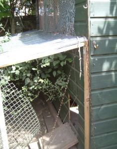 Pophole cut in the side of the shed.